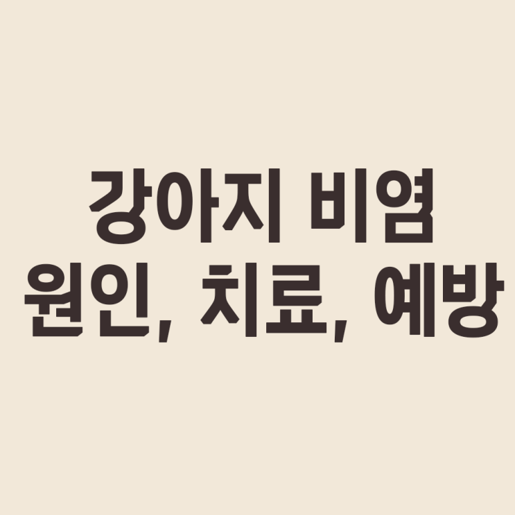 강아지 비염 증상, 원인, 예방 및 치료법