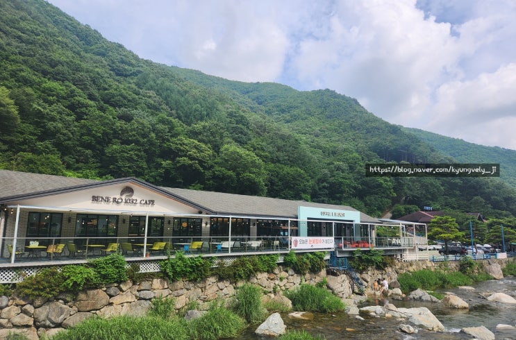  울산 울주군 시원한 계곡뷰 카페 '배내로 1032카페'