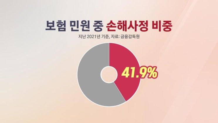 자회사 3만원인데 비자회사 8천원…'손해사정 좋아질 리 있나' 자회사 3만원인데 비자회사 8천원…'손해사정 좋아질 리 있나'