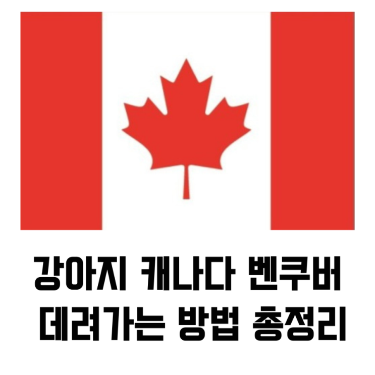  강아지 캐나다 벤쿠버 데려가는방법 총정리!