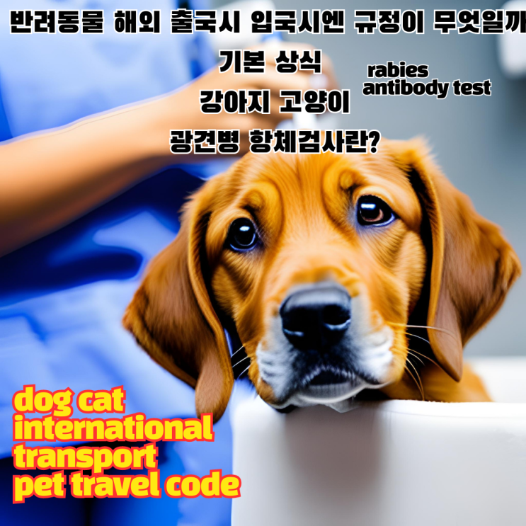고양이 대형견 반려동물 애완동물 한국 입국시 검역규정 한국으로 데려오기 [개 고양이 항체검사란?] 무엇인가? dog cat rabies antibody test