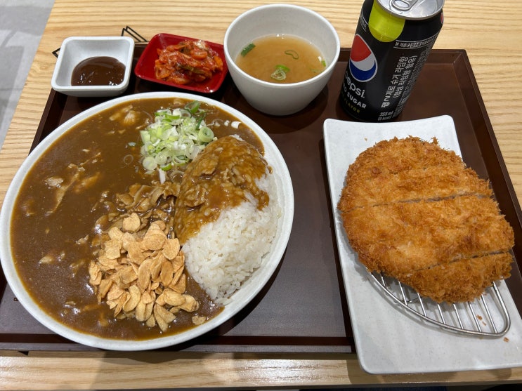  경기 평택 아비꼬카레 베스트원점
