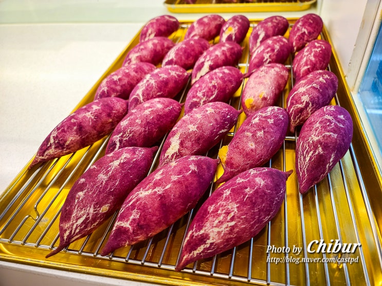  제주도 빵집 카페 아름다운 제주 따라 빵지순례