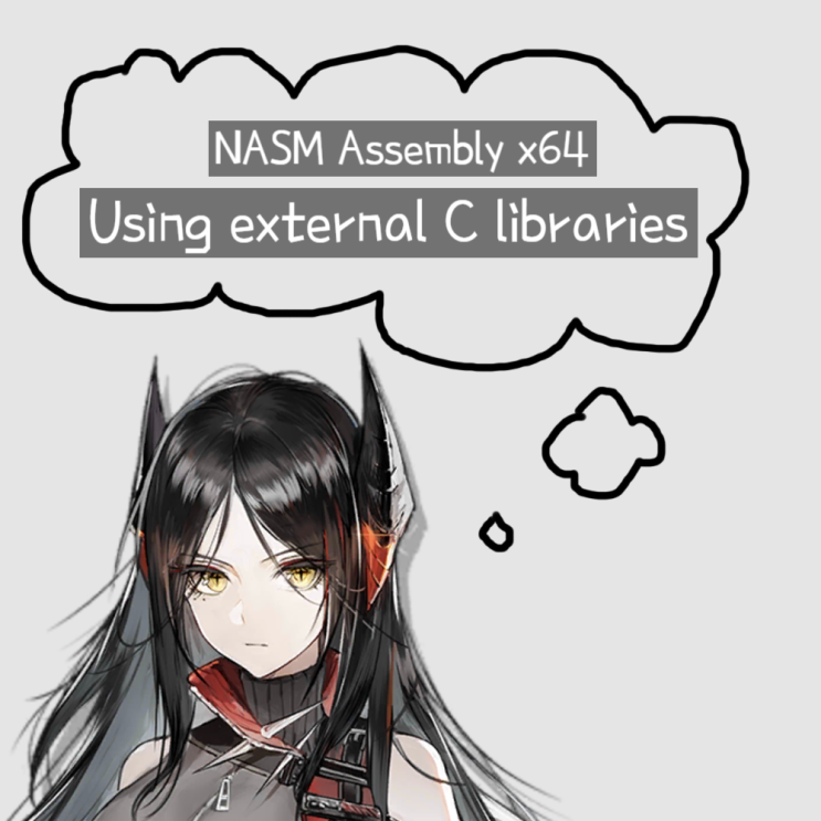 [NASM Assembly x64] 외부 C언어 라이브러리 사용하기