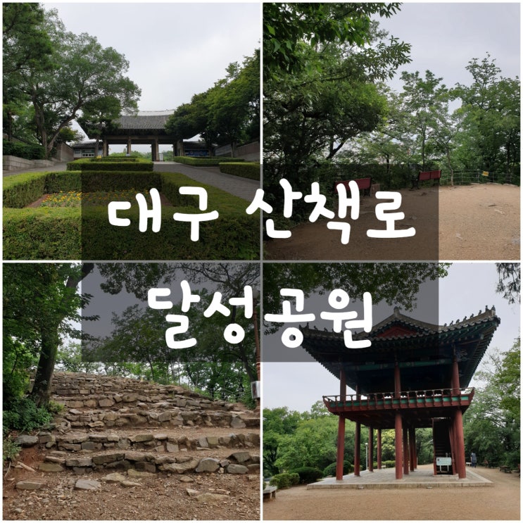  대구중구 달성공원 산책로 #걷기좋은곳