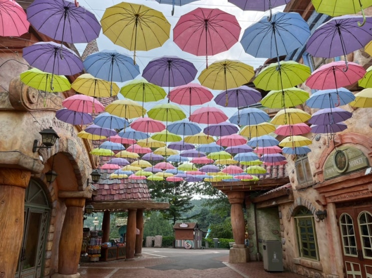여름 에버랜드 아이스 사파리 버스에서 더위 피하기, 비 올때 걷기 좋은 타운즈마켓 이솝 우산길 걸어보기!