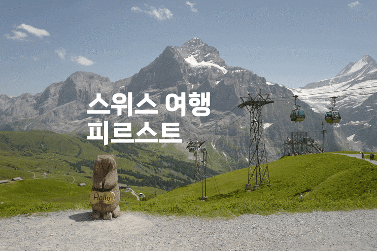  스위스 여행 그린델발트 액티비티도 즐기고 피크닉 하기에도 좋은 곳 추천 : 피르스트