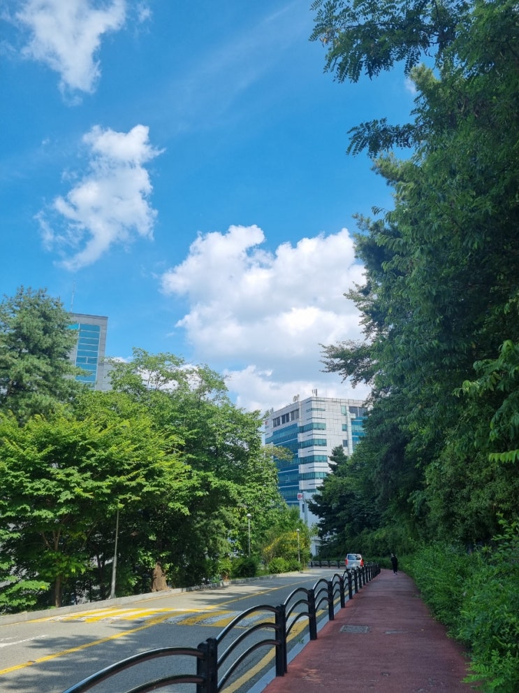  여름학기 일기