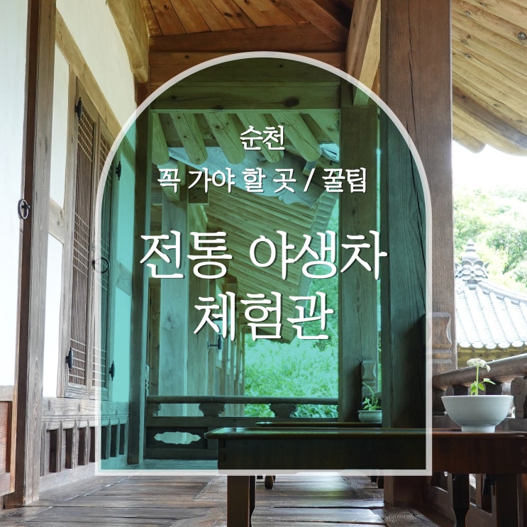  순천 전통야생차체험관 꿀팁, 선암사 근처 찻집 꼭 가야 할 곳