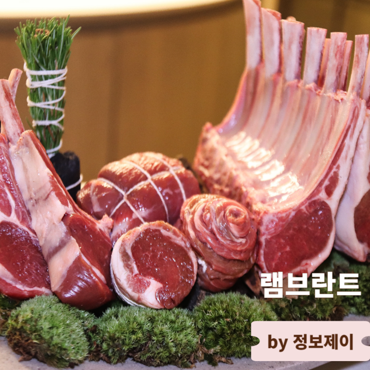  강남 데이트 맛집 램브란트 강남N점 분위기 좋은 레스토랑에서 즐기는 양고기 코스요리