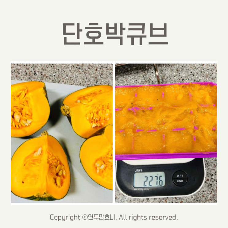 단호박큐브 아기 초기이유식 야채큐브 만들기 단호박큐브 아기 초기이유식 야채큐브 만들기
