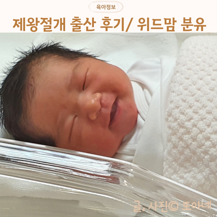 엄마와 함께하는 제왕절개 후기 100일 제왕절개 분유 유아용 분유 권장량