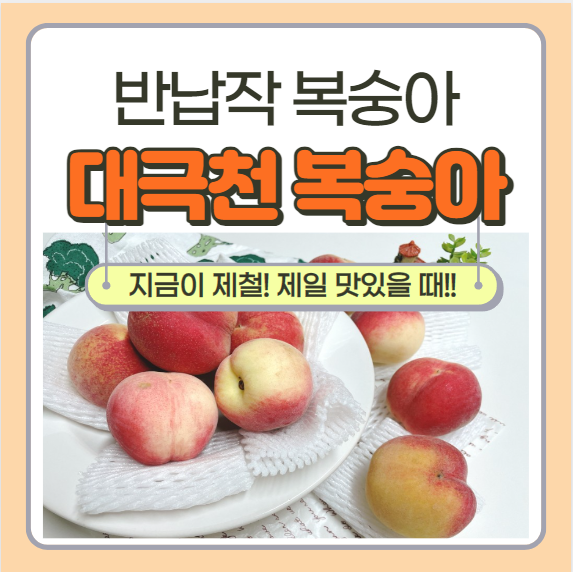  딱딱이 반납작 복숭아 대극천 복숭아 지금이 제철! 맛있을 때!! 영양성분 효능 부작용 숙성 및 보관법