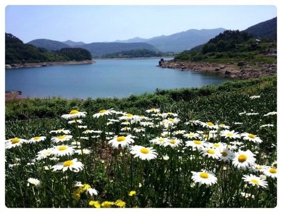   소개팅에서 30대 남자가 싫어하는, 30대 여자의 스타일은?
