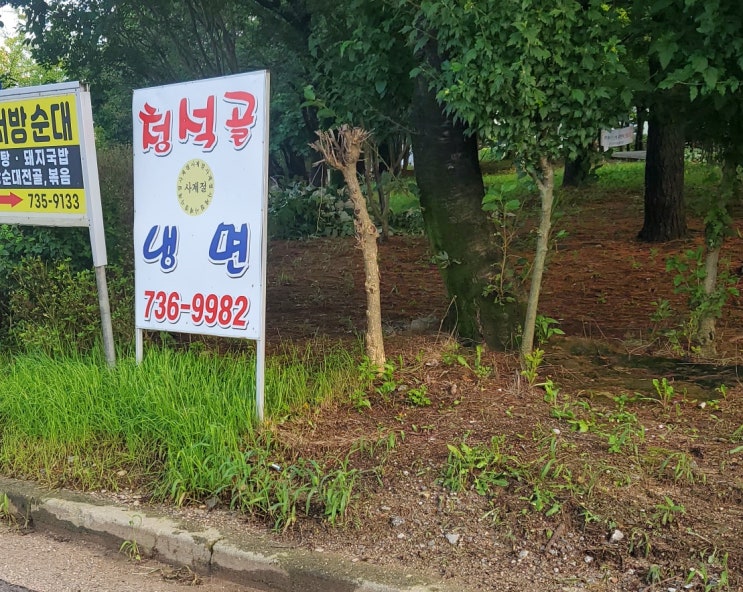  (논산 맛집) 논산 냉면 맛집 '청석골'