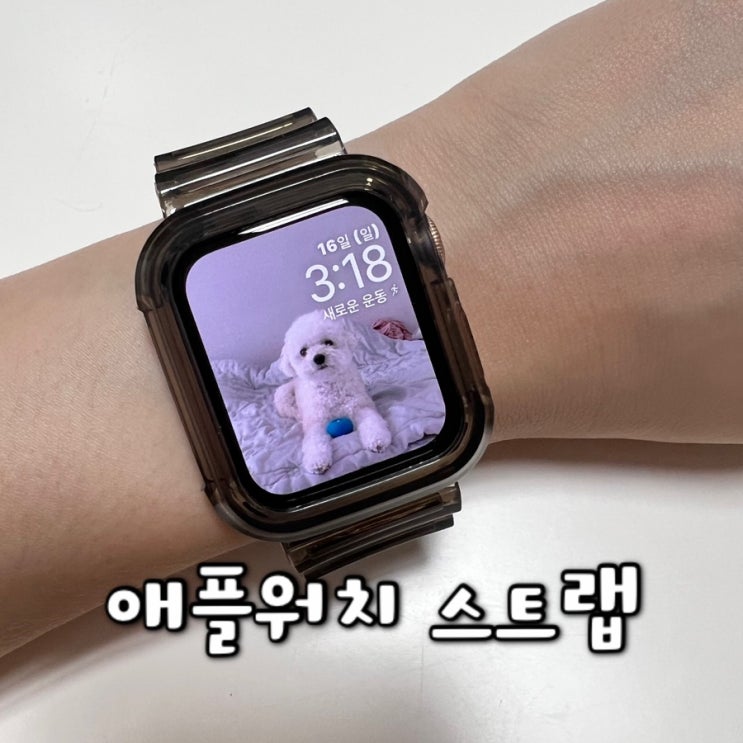  힐링쉴드 애플워치스트랩 / 여름철엔 젤리 스트랩이 제격