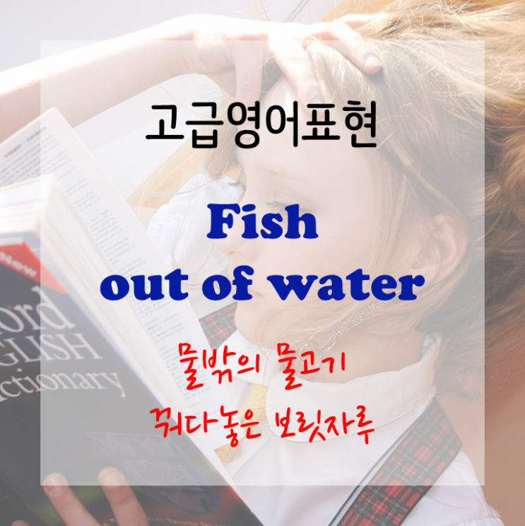 [고급영어표현] fish out of water - 물밖의 물고기, 꿔다놓은 보릿자루, 어색함을 느끼다