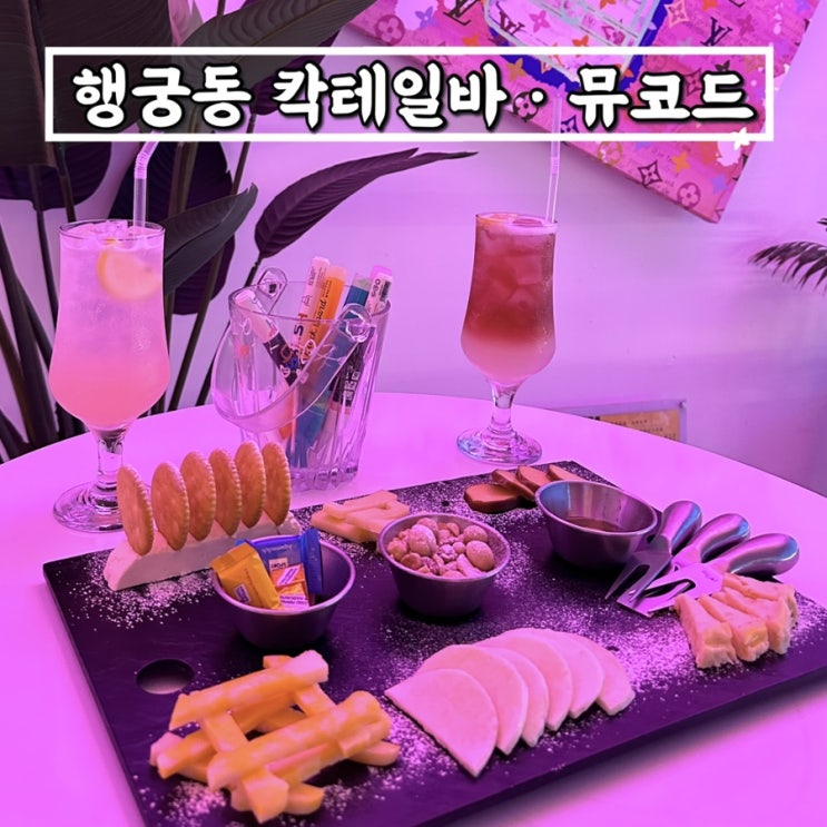 수원 행궁동루프탑술집 나만 알고싶은 칵테일바 뮤코드 치즈맛집 + 애견동반가능