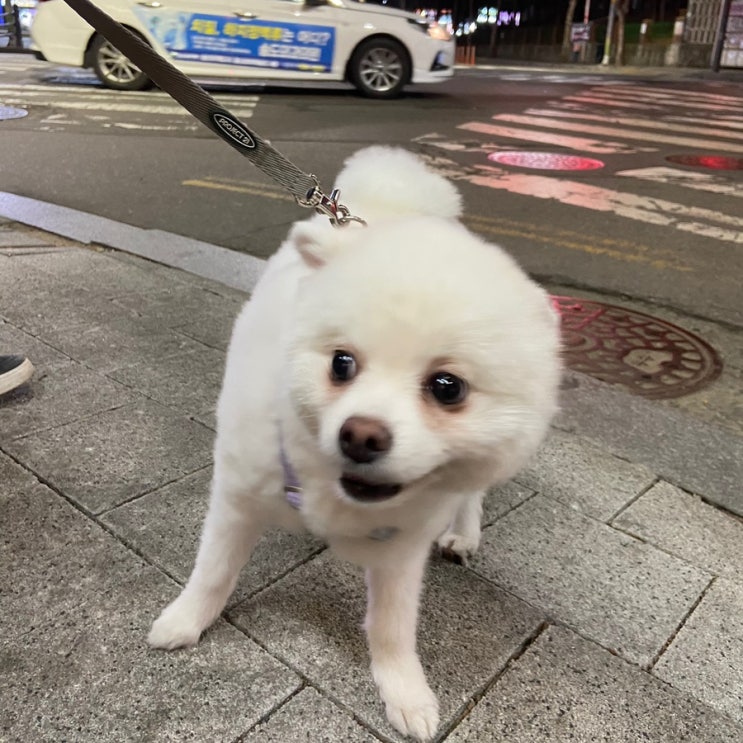  [룩또] 이번주 1077회 로또 당첨번호 조합 추천, 지난주 당첨금액