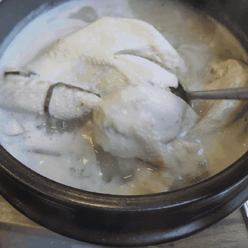  원기회복하러 방문 ! 대구서구 맛집 청송약수삼계탕 본점