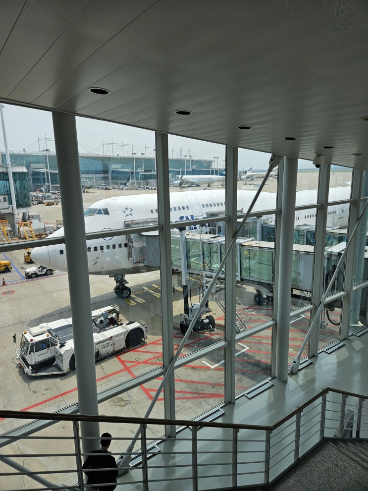  이탈리아 패키지여행 6박8일- 1일차 인천공항 출발, 로마도착