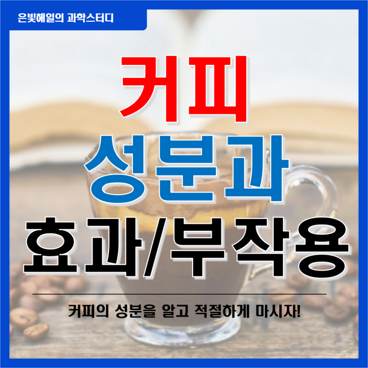  커피에 대한 모든 것 2편(성분과 효과)
