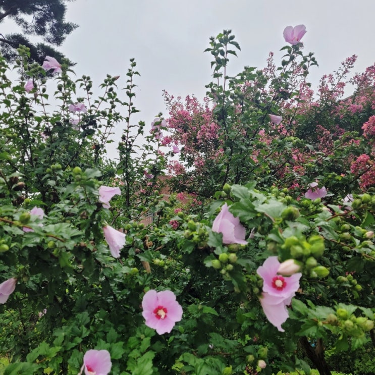  답십리 새샘근린공원