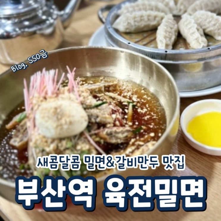  [부산]육전밀면_부산역 근처 밀면 맛집 내돈내산 후기/초량밀면 비교