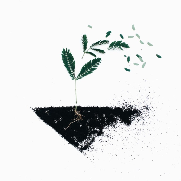  좋은글 발묘조장   도와주는 것이 해가 될 수 있다 -맹자