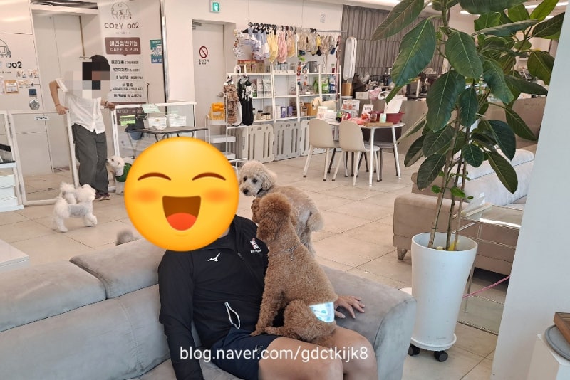 사진 5