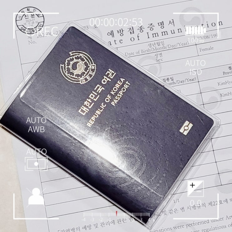  필리핀 세부 여행 준비물 예방접종증명서 이트래블 작성방법 쉽고 간단해요