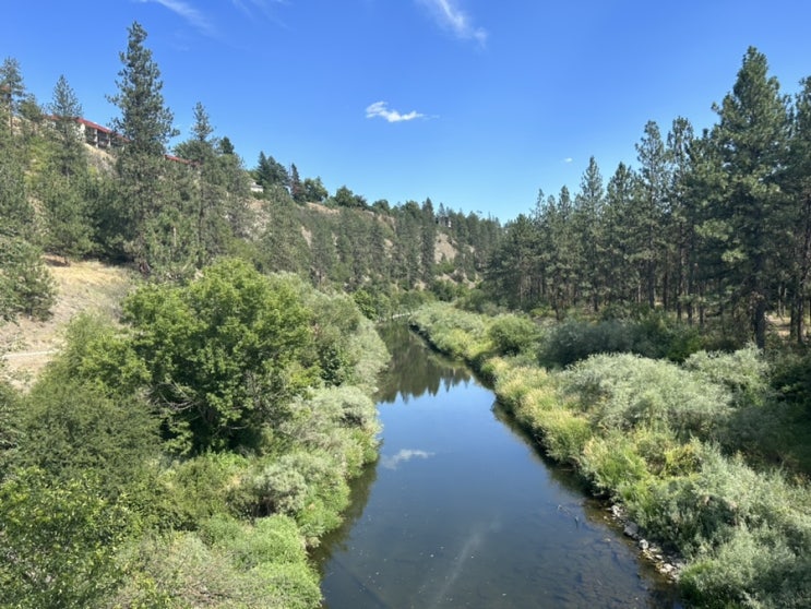  시애틀보다 더 워싱턴스러운 도시, 스포캔(Spokane) 여행 가이드