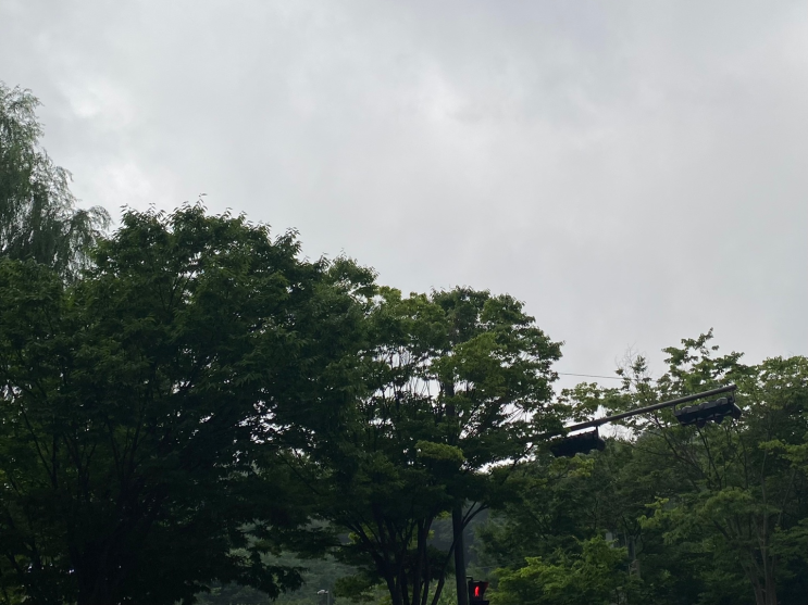  비 오는 오늘, 나의 하루는