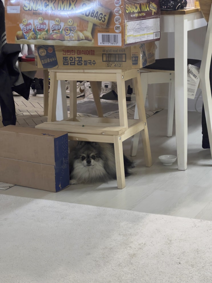  아늑한곳이 좋아!