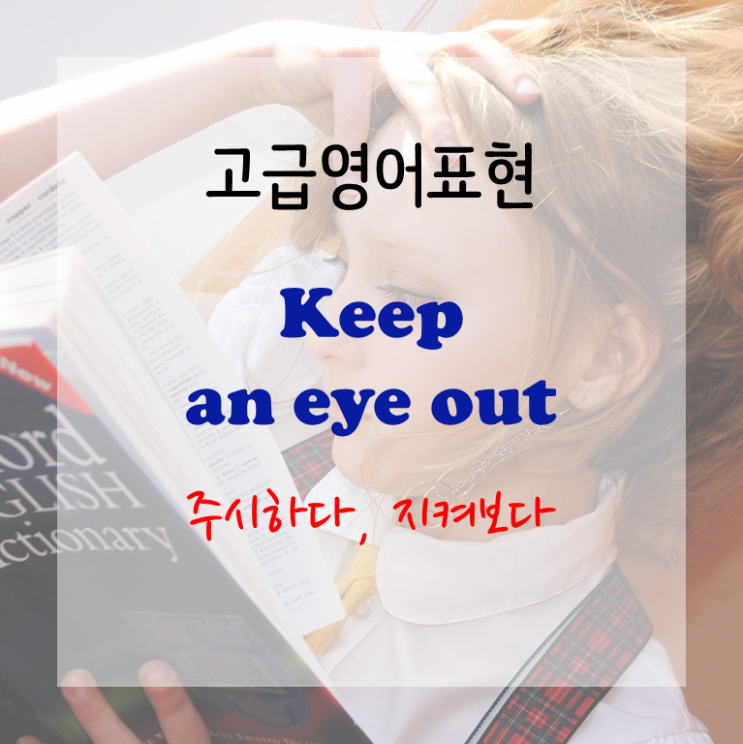  [고급영어표현] keep an eye out 주시하다, 지켜보다