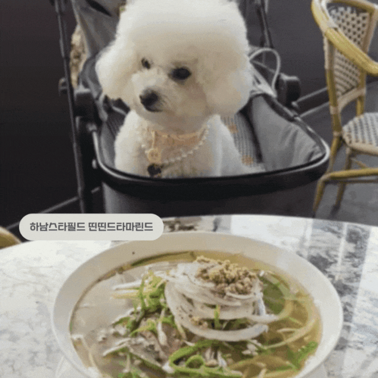  [하남스타필드 실내 동반 쌀국수_띤띤드타마린드] "야외석이 있으니까 너무 좋죠?"