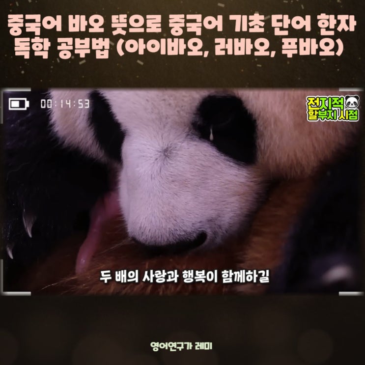 중국어 바오 뜻으로 중국어 기초 단어 한자 공부법 독학 (아이바오, 러바오, 푸바오)