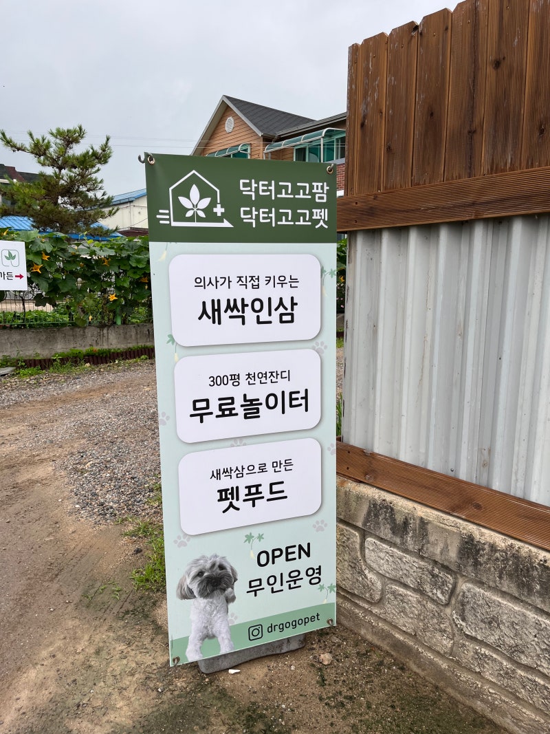 사진 9