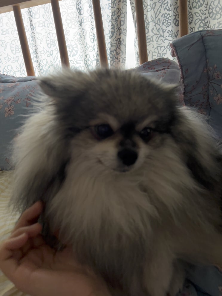  마냥 귀여운 꾸꾸