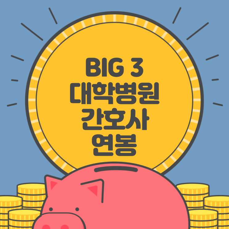  대학병원 간호사 연봉, Big 3(서울대, 서울아산, 삼성서울병원) 간호사들이 직접 알려드려요~