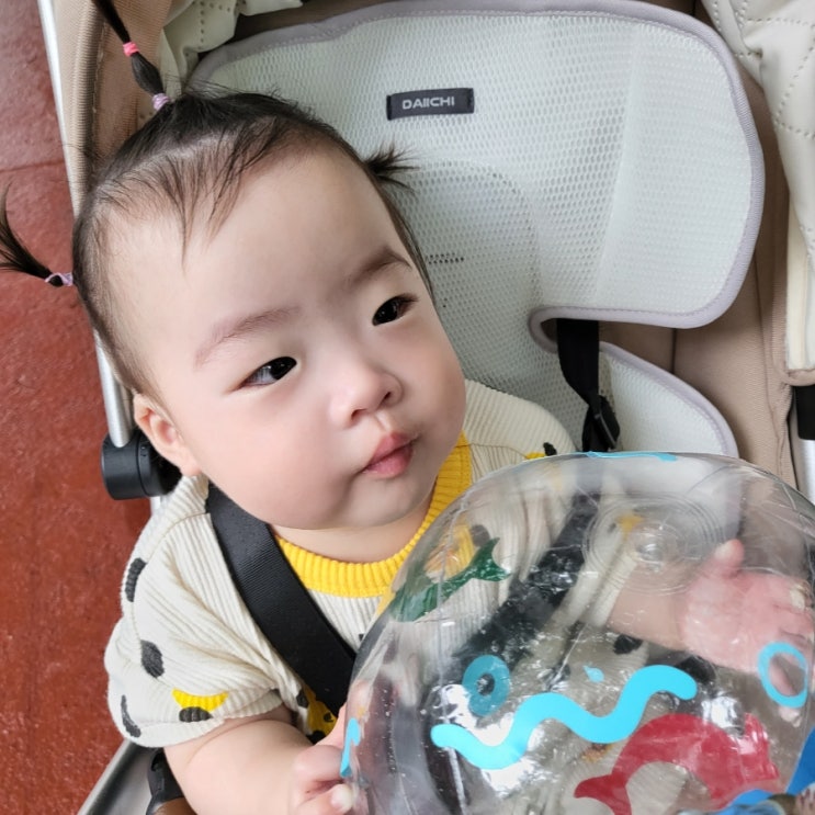  다이치에어포켓2 쿨시트 찐후기