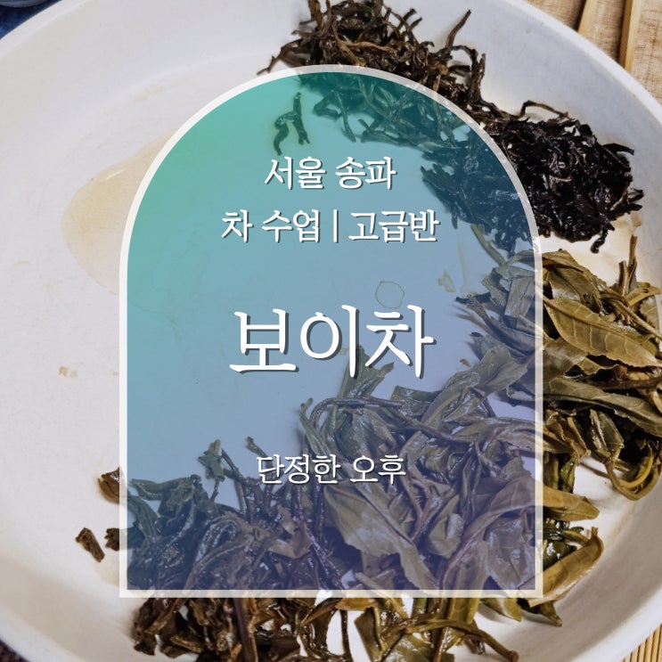  서울 티클래스, 차수업 고급반 - 보이차 | 단정한 오후