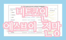  비트코인에 대한 스브이 코인 특징과 전망, 그리고 개발자 발행량 정보입니다.