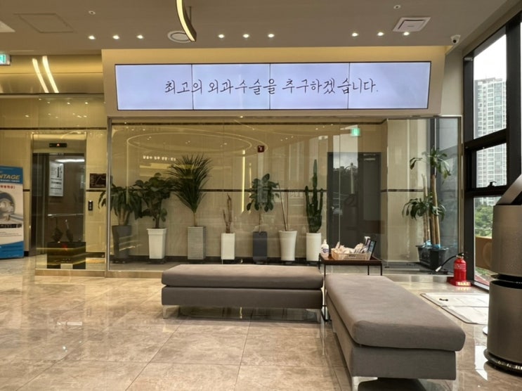  더본외과동물의료센터 :: 부산 24시동물병원 강아지 슬개골탈구 증상과 수술 비용 후기