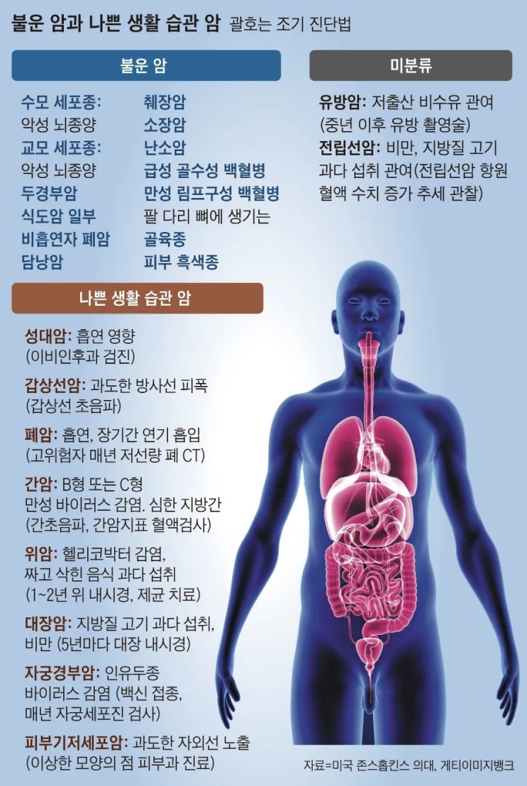 이 습관 바꾸면 33% 암 발병 피할 수 있다