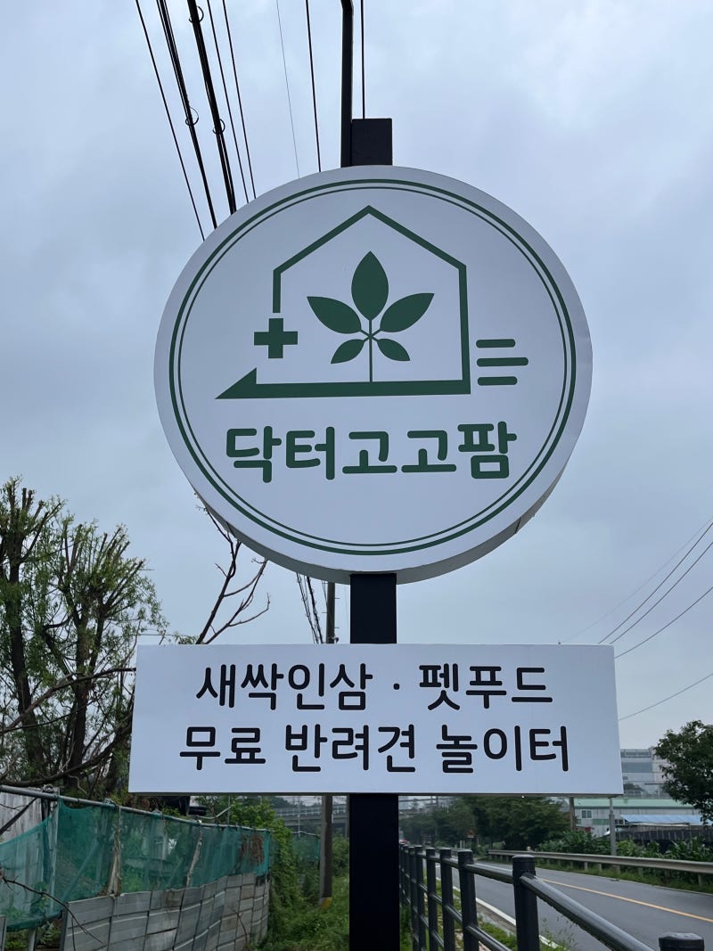 사진 7