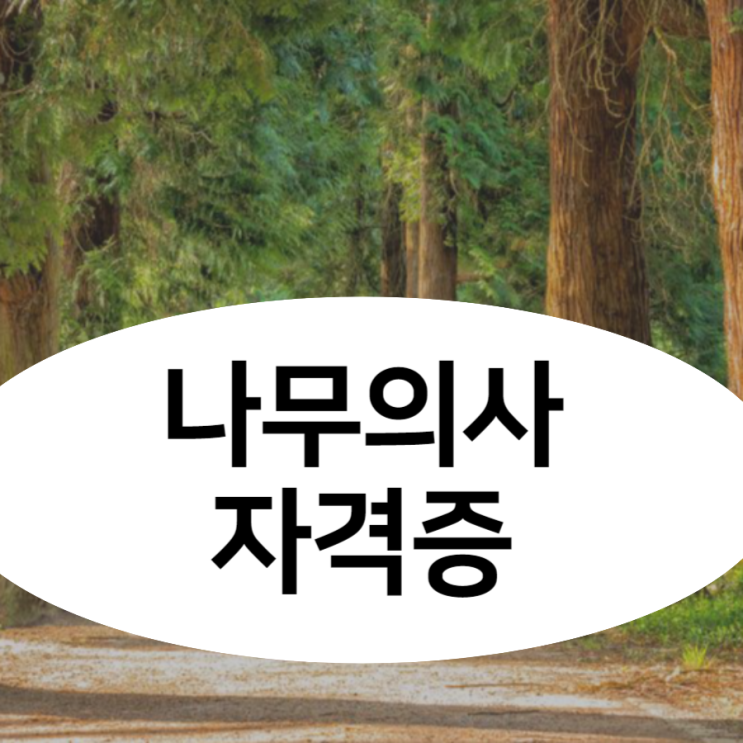나무의사 자격증 응시자격 및 취득과정 (연봉확인) 나무의사 자격증 응시자격 및 취득과정 (연봉확인)