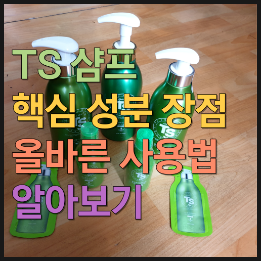 TS 샴푸의 핵심 성분 장점 올바른 사용법 알아보기