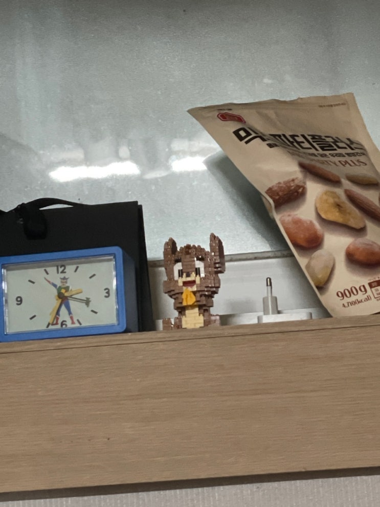  [주말 일기] 톰과 제리 나노 블럭
