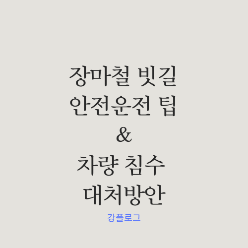  장마철 안전운전 팁과 차량 침수 대처방안